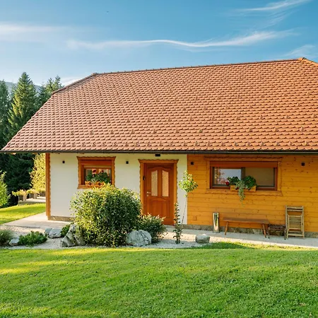 Feriehus Hisa Breza *